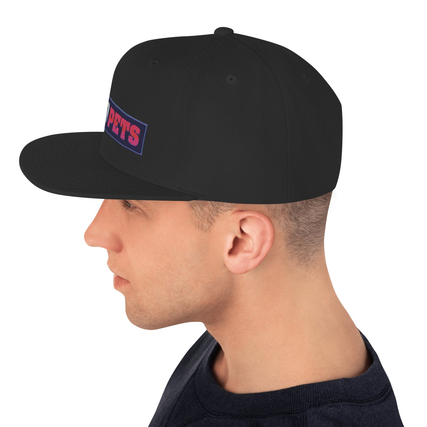 Snapback Panel Hat
