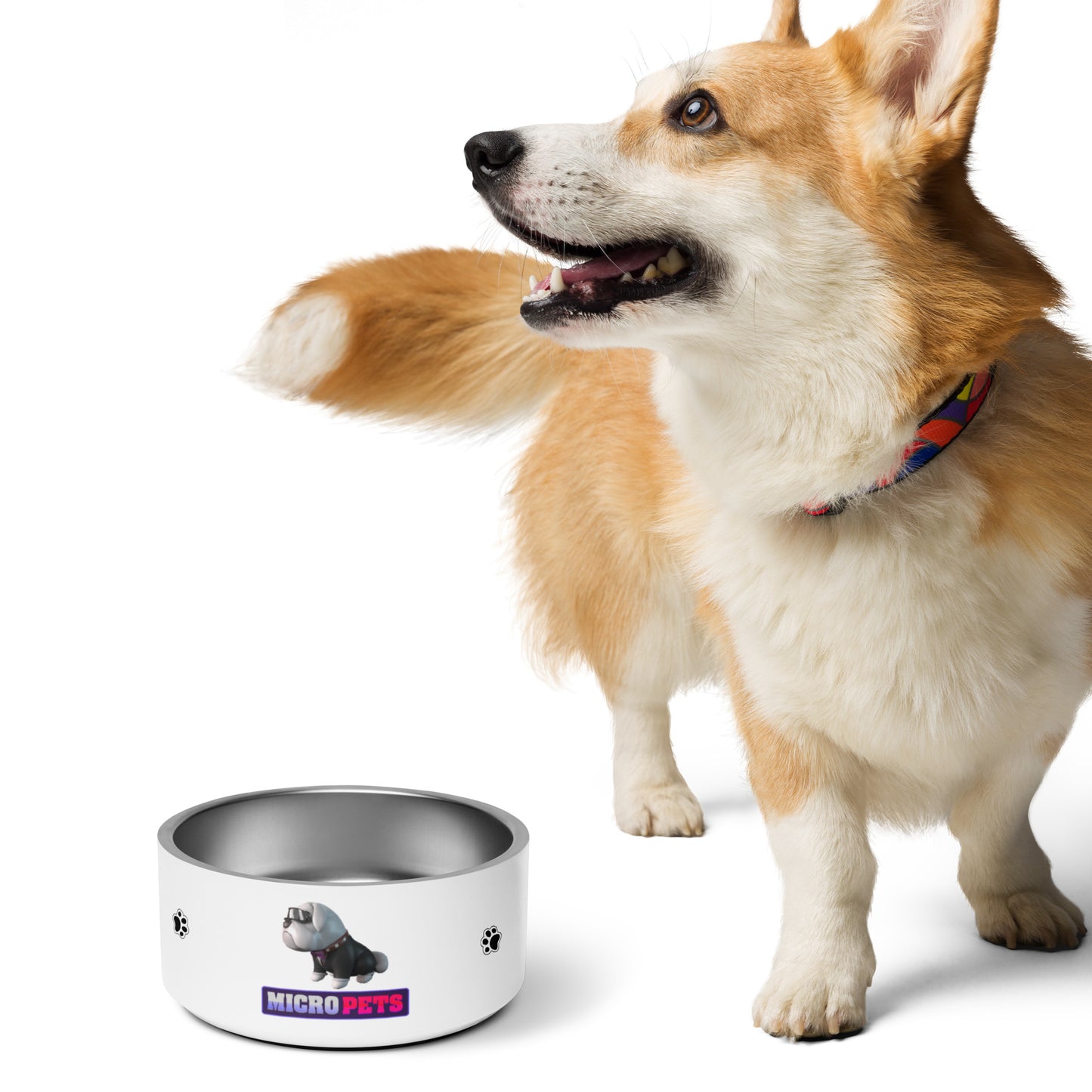 MicroPets Hoge Pet Premium Stainless Steel Pet Bowl