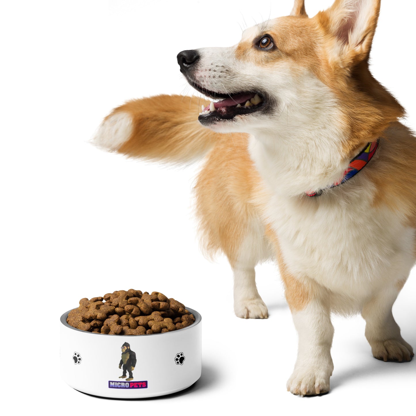 MicroPets Feg Pet Bowl