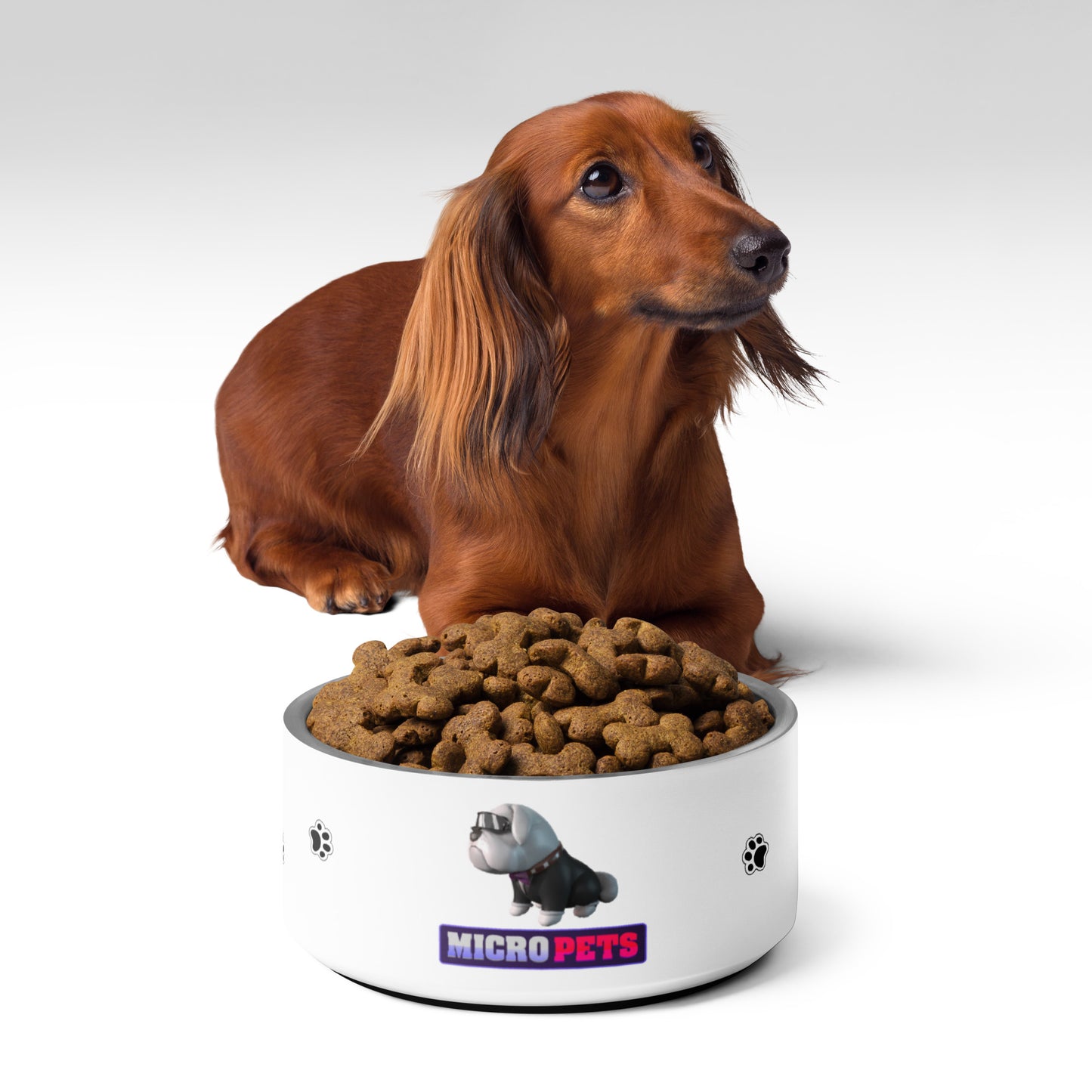 MicroPets Hoge Pet Premium Stainless Steel Pet Bowl