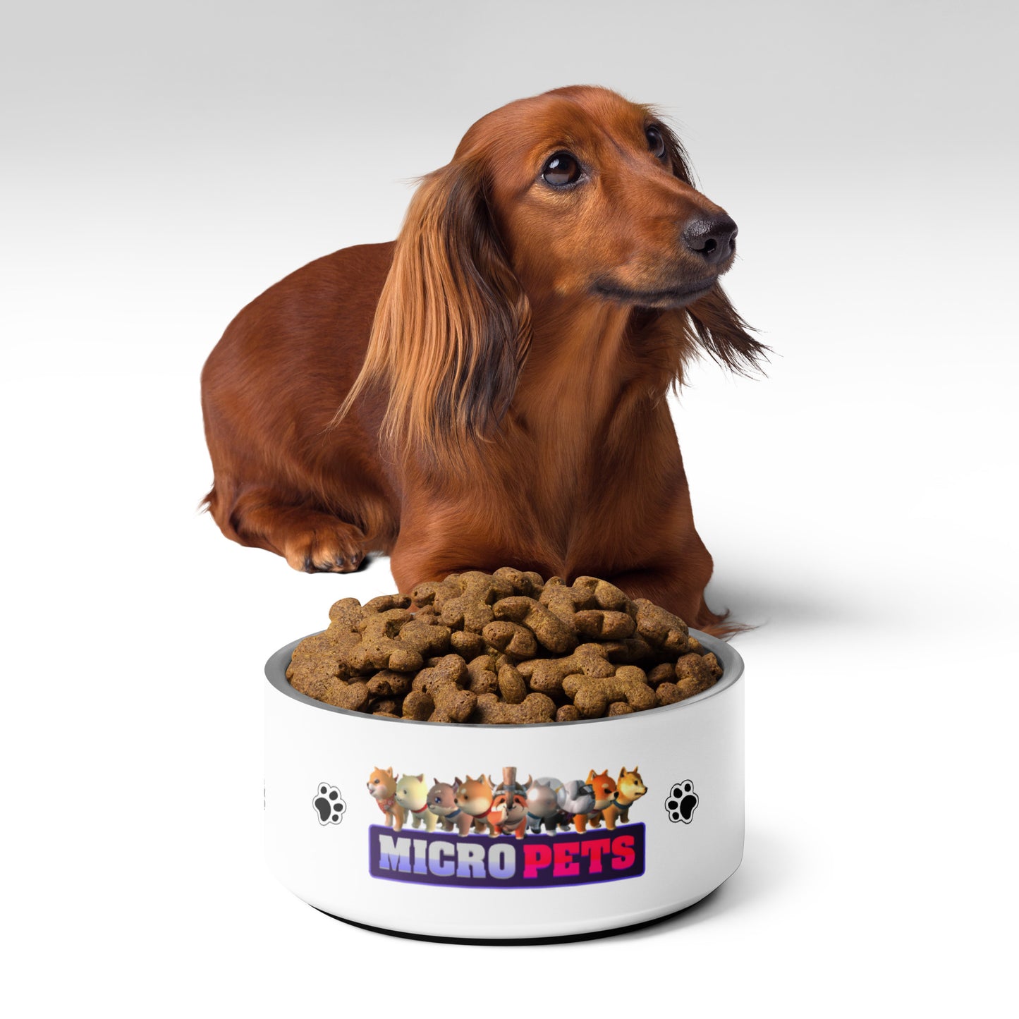 MicroPets S1 Stainless Steel Pet Bowl