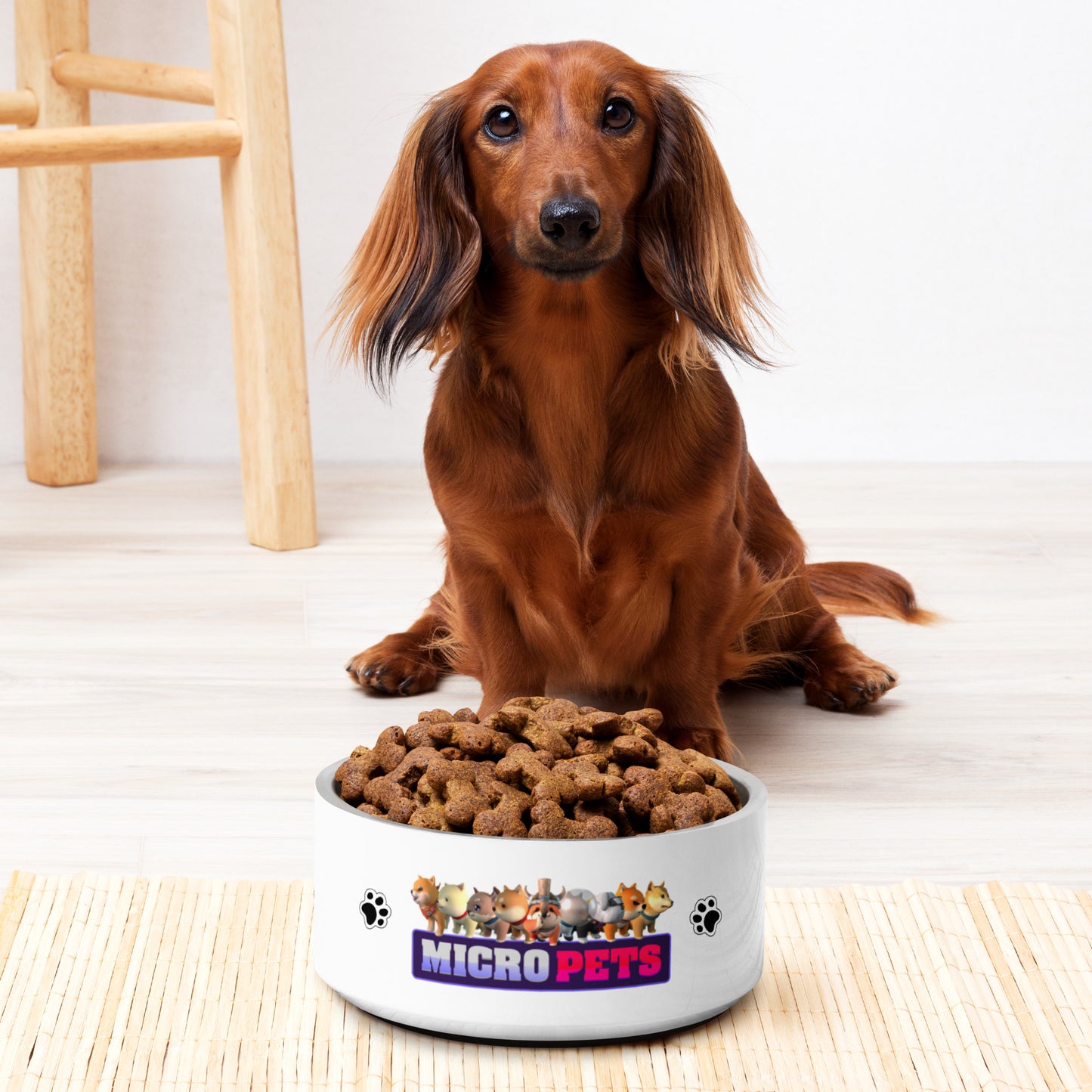 MicroPets S1 Stainless Steel Pet Bowl