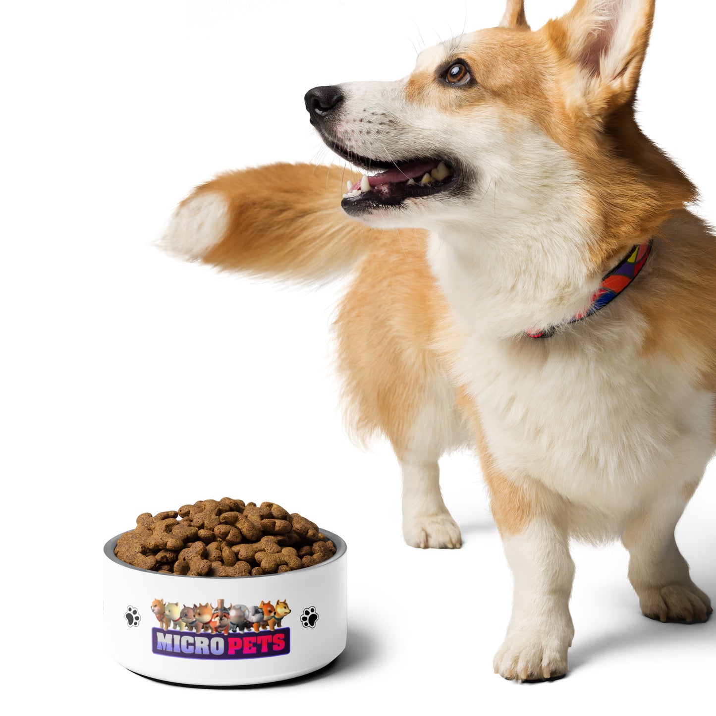 MicroPets S1 Stainless Steel Pet Bowl