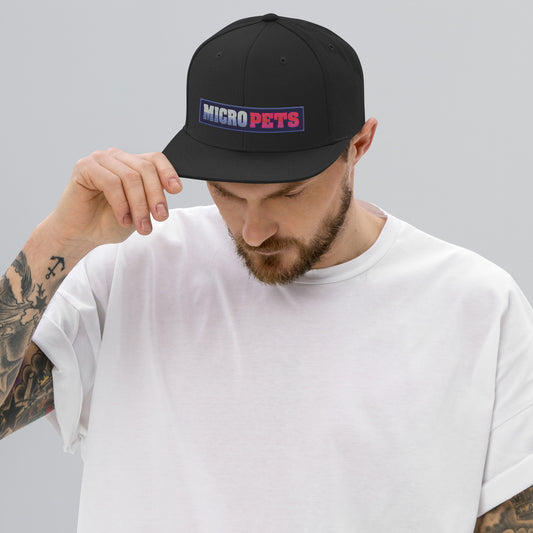 Snapback Panel Hat